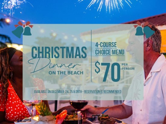 Christmas Menu (Dec 24, 25, 26)